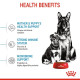 Royal Canin Maxi Starter Mother & BabyDog – Hrană Uscată pentru Femele Gestante, Lactante și Pui de Câine de Talie Mare – 15 kg